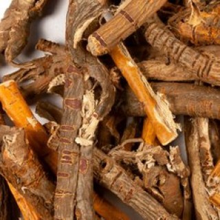 MULBERRY ROOT EXTRACT (CHIẾT XUẤT RỄ DÂU TẰM)